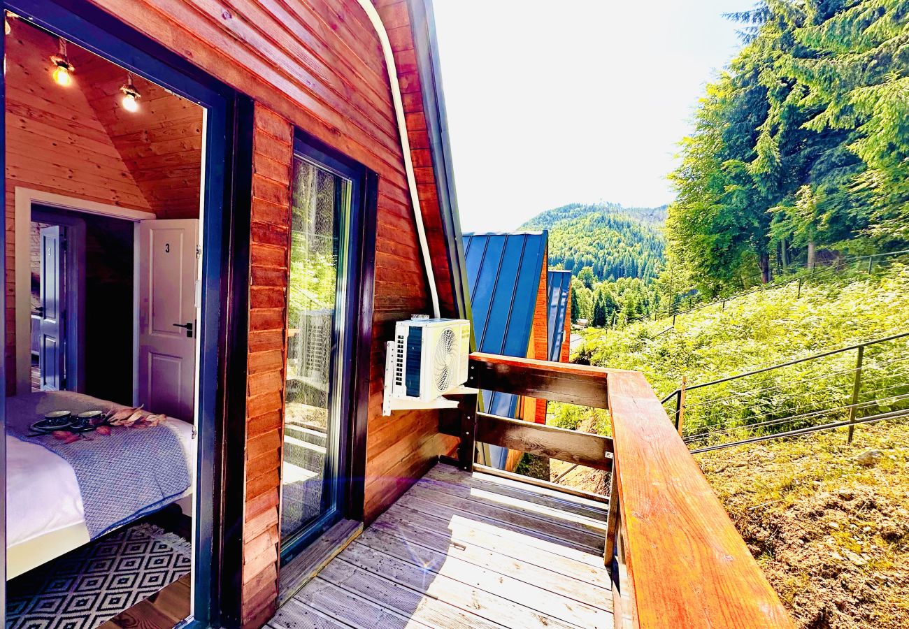 Chalet in Colibita - Lake Retreat Colibita