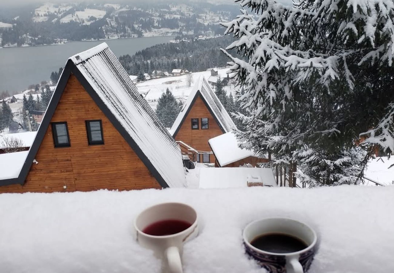 Chalet in Colibita - Lake Retreat Colibita