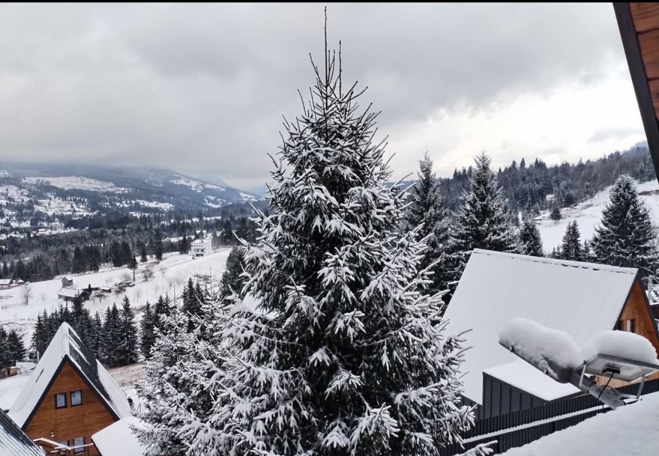 Chalet in Colibita - Lake Retreat Colibita