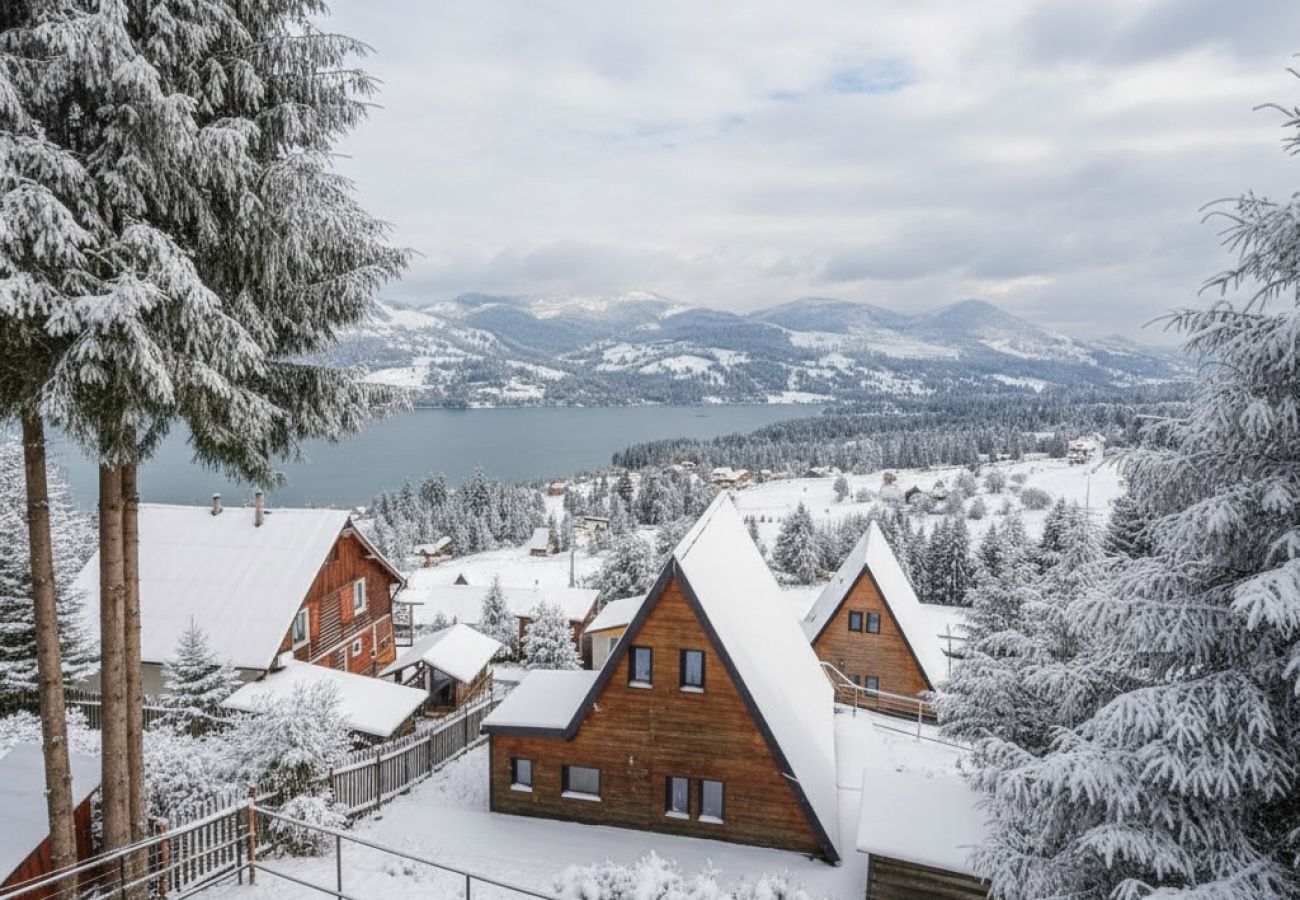 Chalet in Colibita - Lake Retreat Colibita