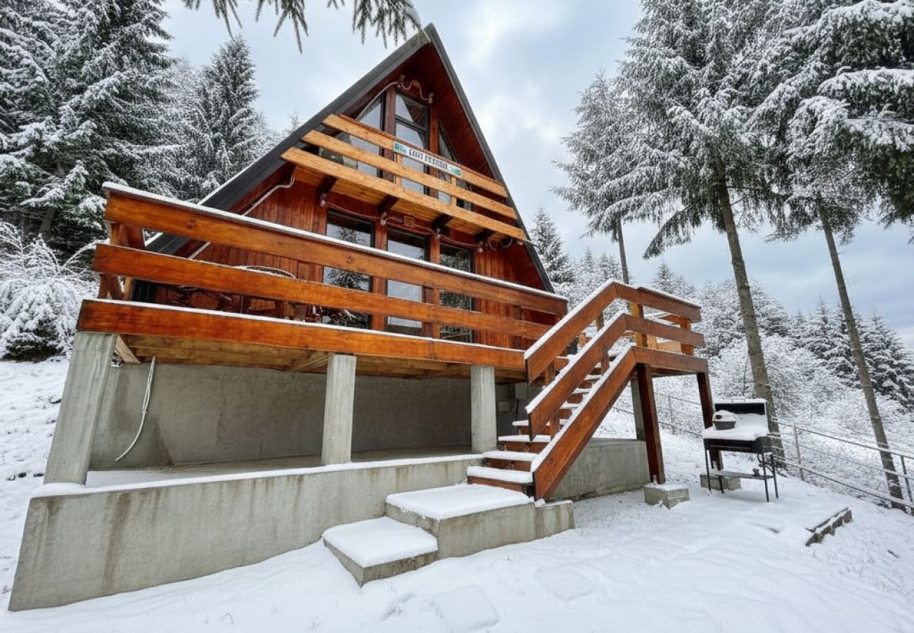 Chalet in Colibita - Lake Retreat Colibita