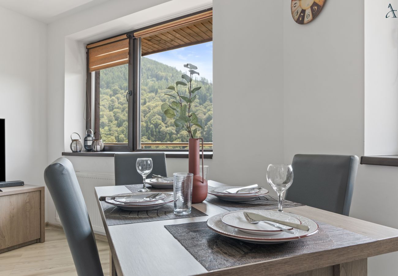 Apartment in Sinaia - Mountain View Retreat