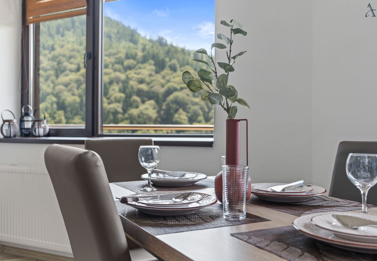 Apartment in Sinaia - Mountain View Retreat