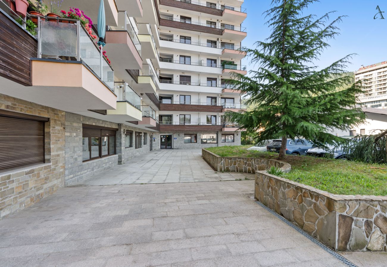 Apartment in Sinaia - Mountain View Retreat