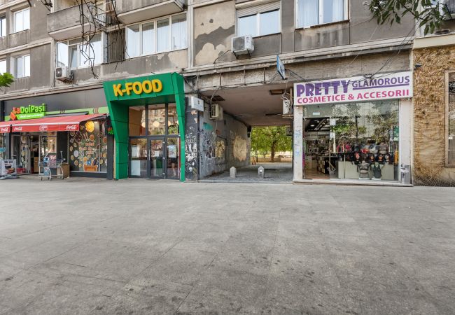 Apartment in Bucharest - Bratianu 1BDR Apartment in Bucharest - Bratianu 1BDR