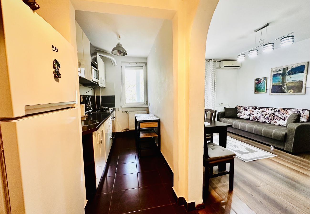 Apartment in Bucharest - Bratianu 1BDR