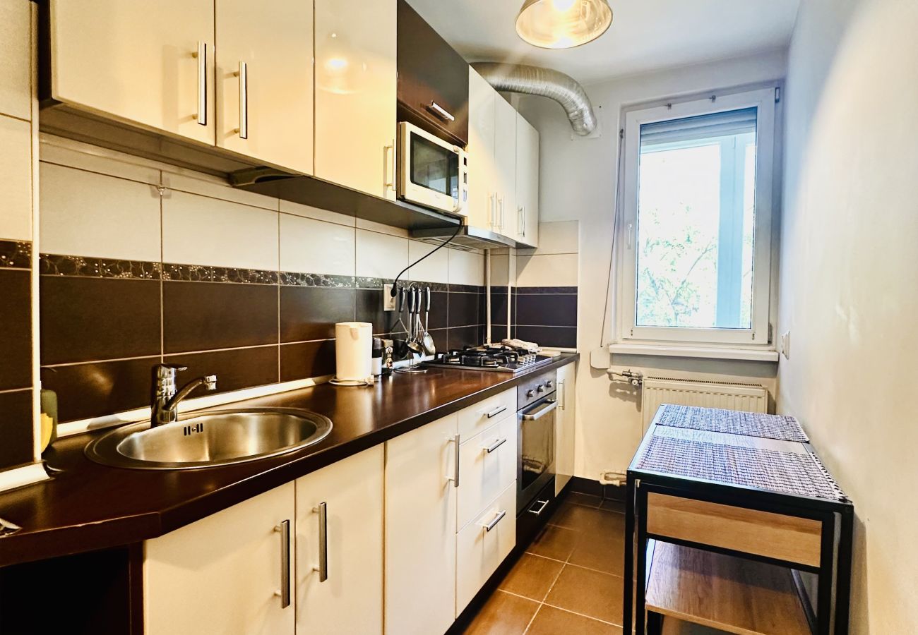 Apartment in Bucharest - Bratianu 1BDR