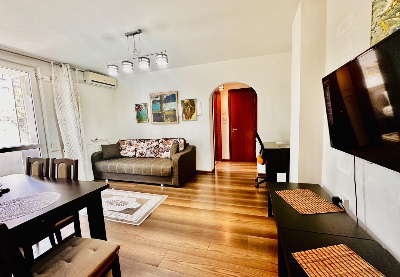 Apartment in Bucharest - Bratianu 1BDR