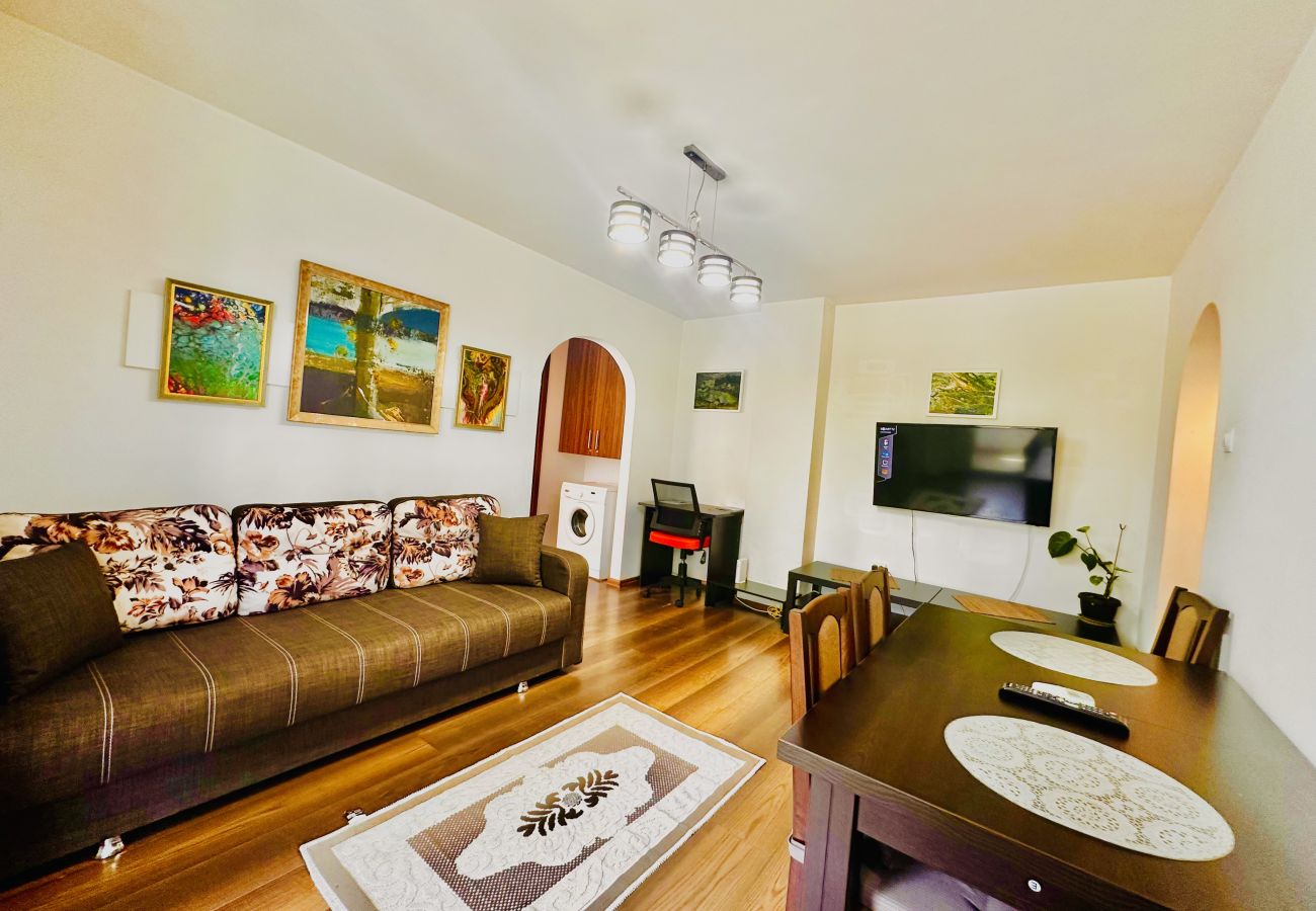 Apartment in Bucharest - Bratianu 1BDR