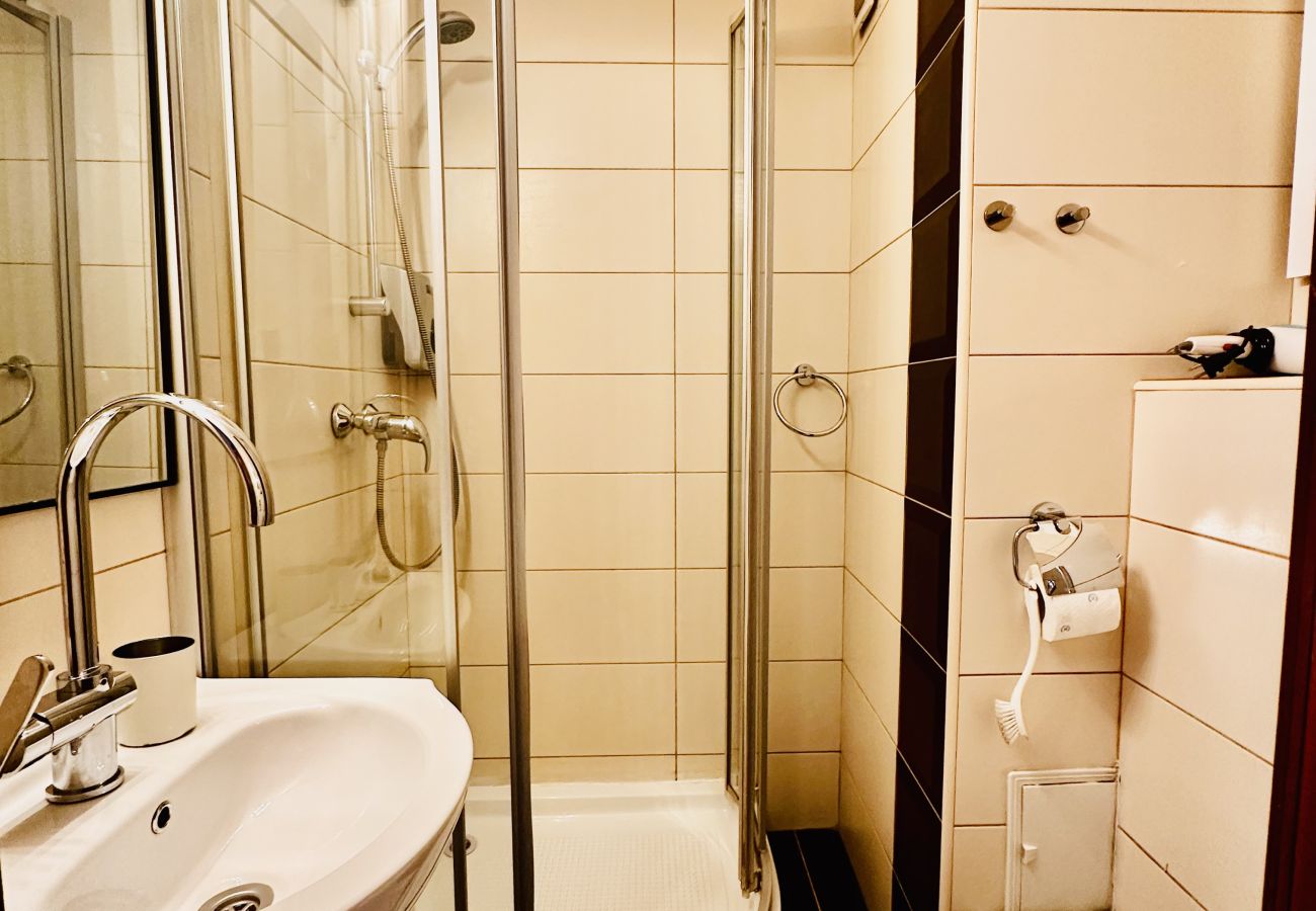 Apartment in Bucharest - Bratianu 1BDR