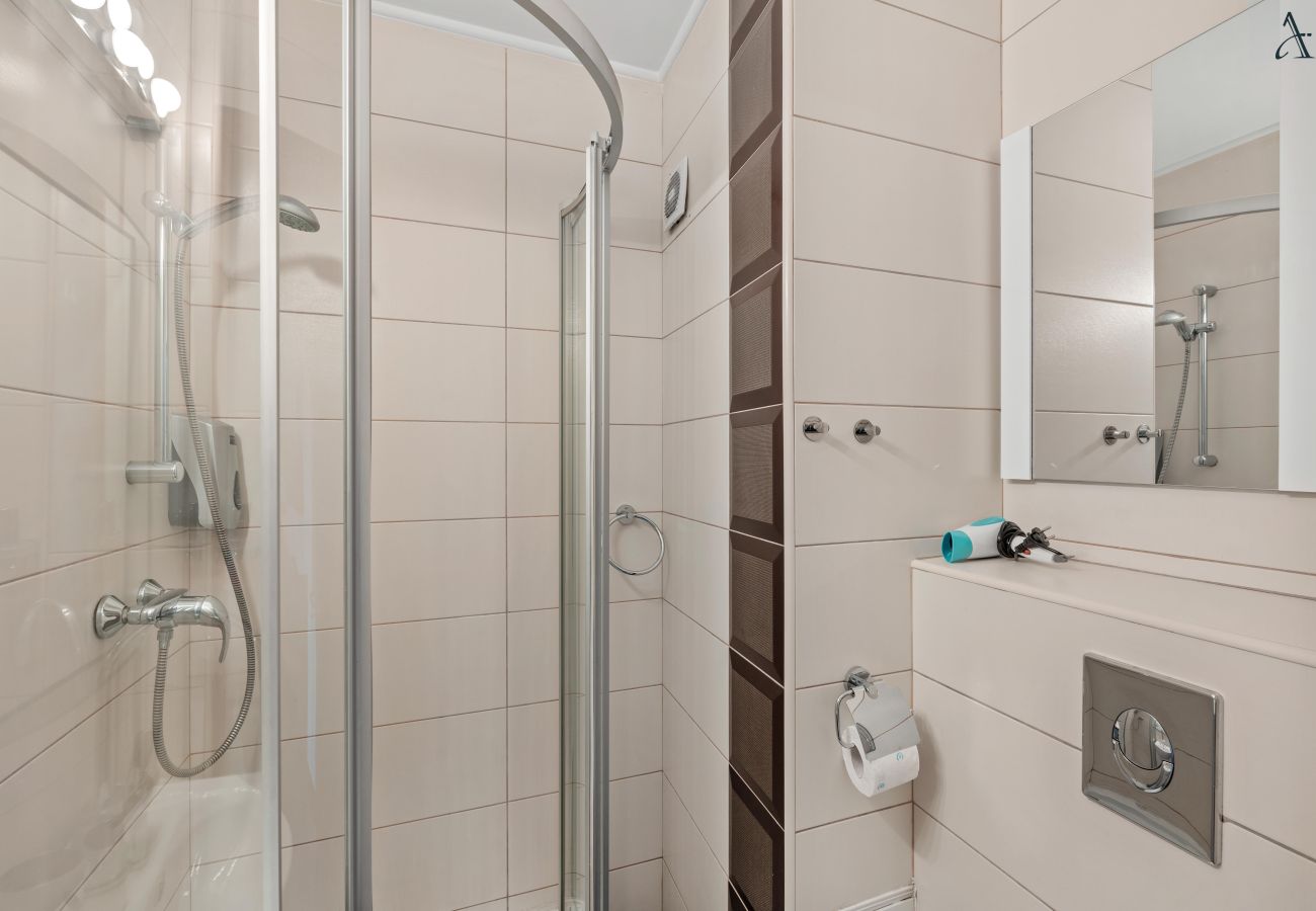 Apartment in Bucharest - Bratianu 1BDR