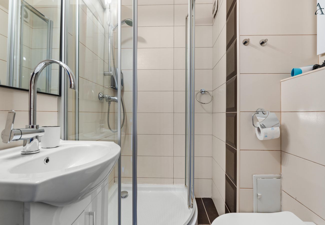 Apartment in Bucharest - Bratianu 1BDR