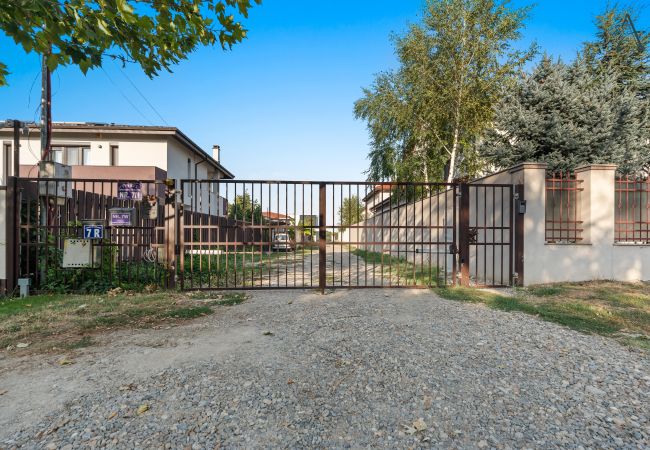 House in Bucharest - Art House House in Bucharest - Art House