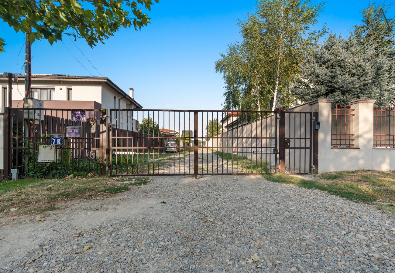 House in Bucharest - Art House