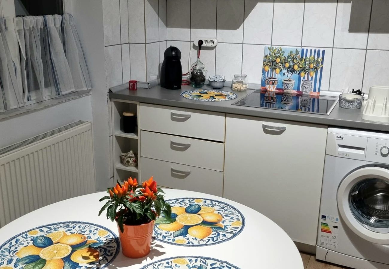 Apartment in Timisoara - Ultracentral Vibes