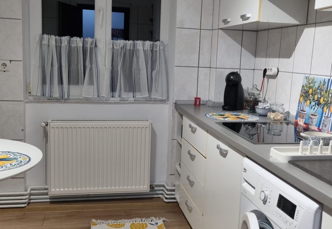 Apartment in Timisoara - Ultracentral Vibes