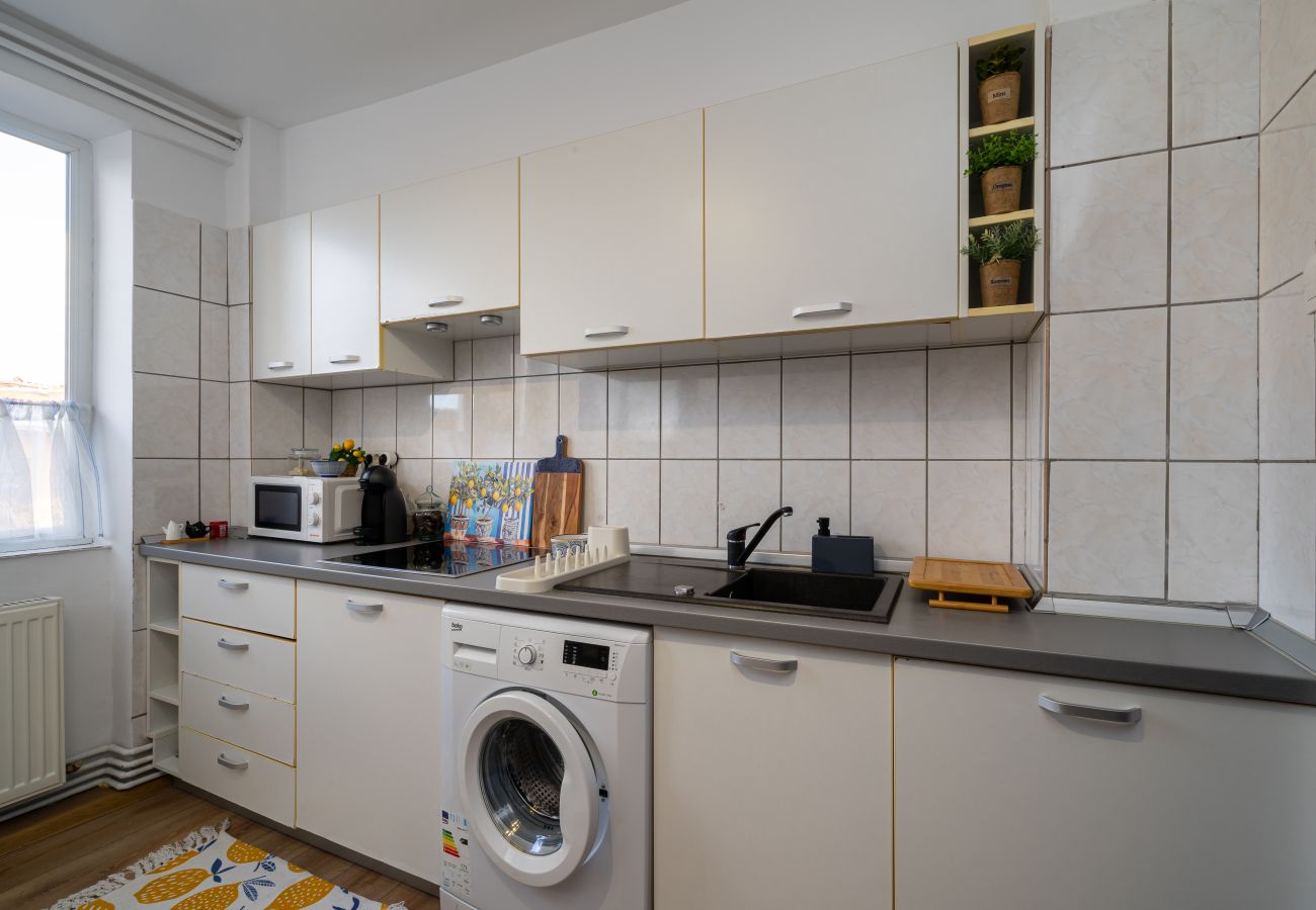 Apartment in Timisoara - Ultracentral Vibes Apartment in Timisoara - Ultracentral Vibes