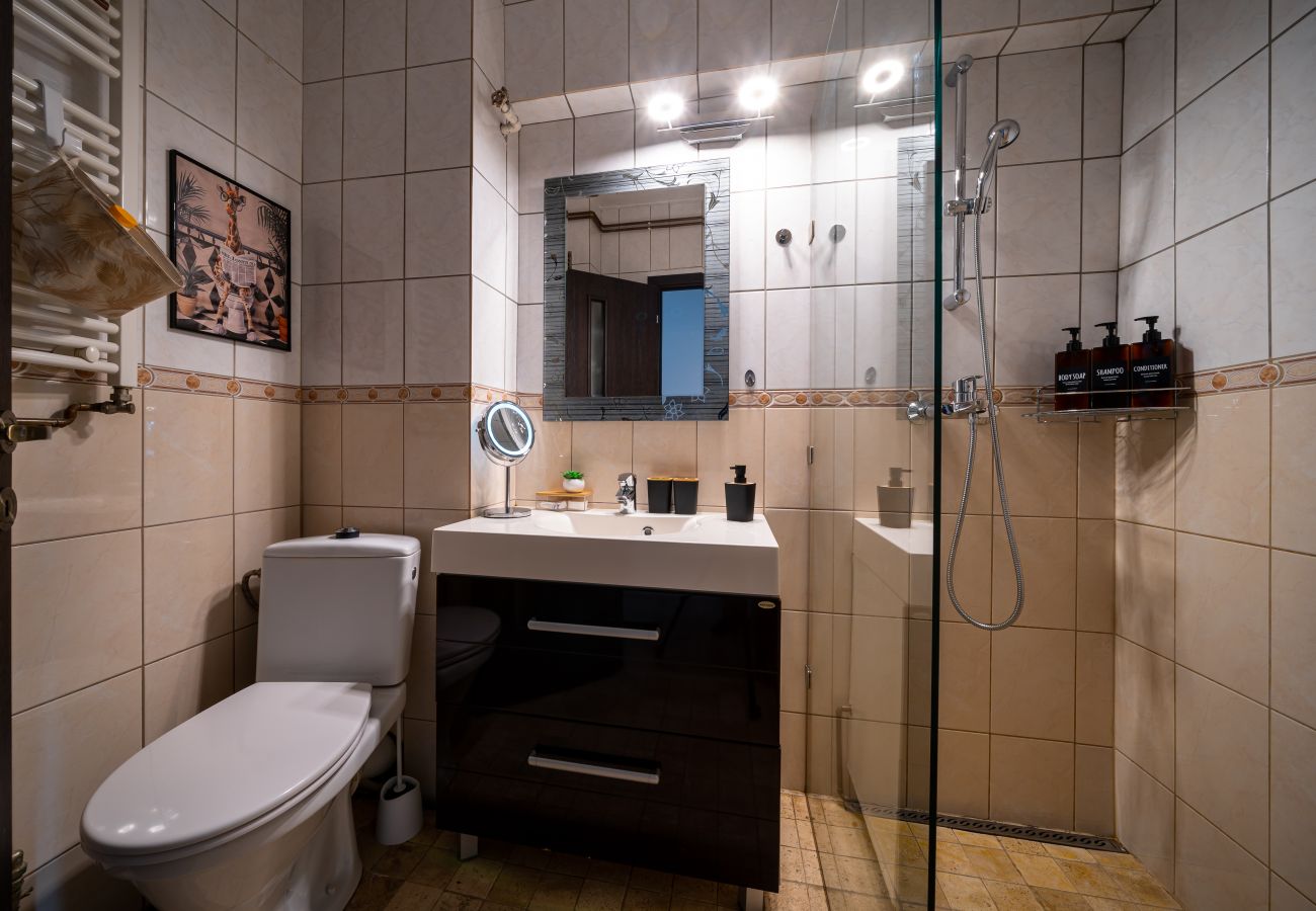 Apartment in Timisoara - Ultracentral Vibes Apartment in Timisoara - Ultracentral Vibes