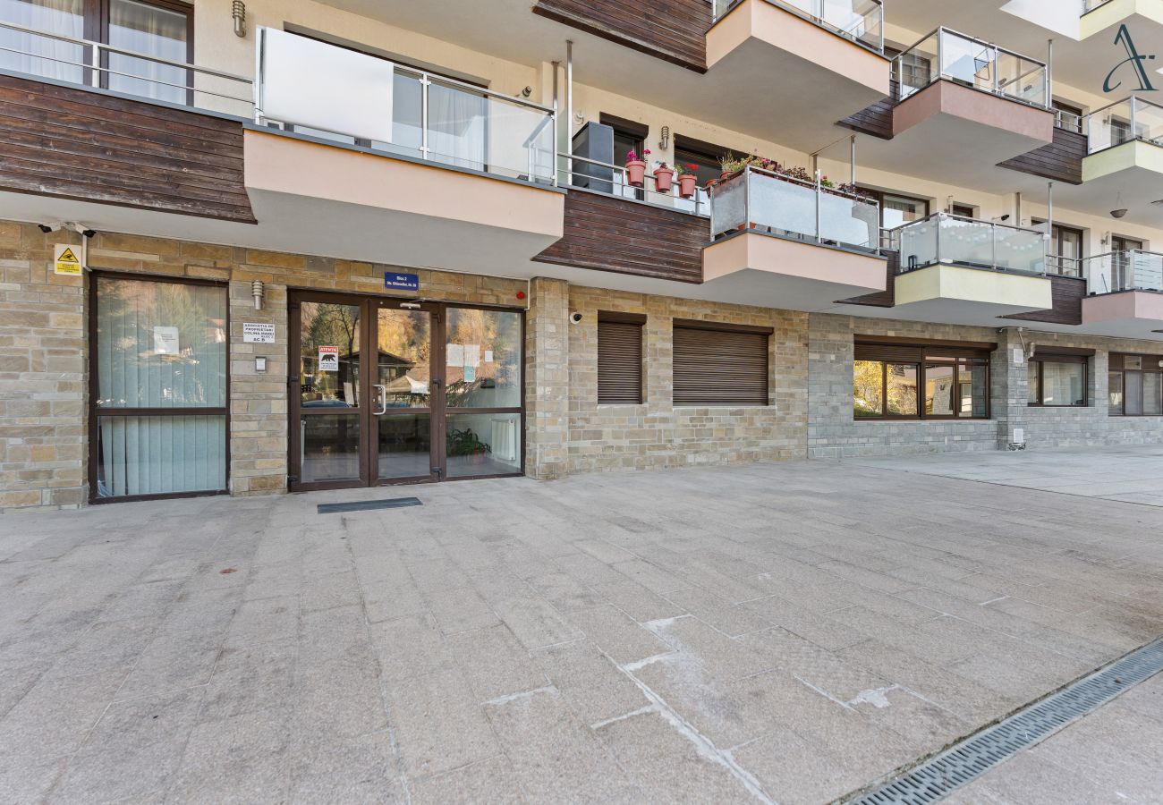 Apartment in Sinaia - Holiday Haven 