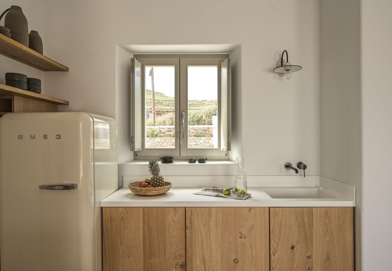 Villa in Antiparos - Heather