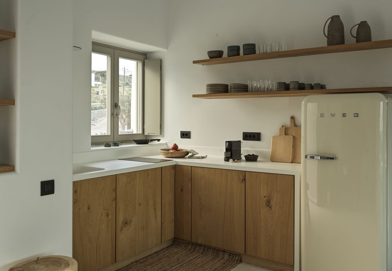 Villa in Antiparos - Oregano