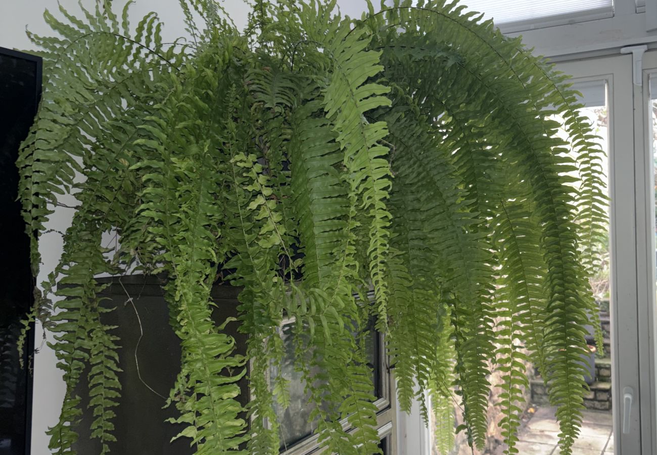 Apartment in Dublin - South Dublin Central 3 Bedroom Apartment