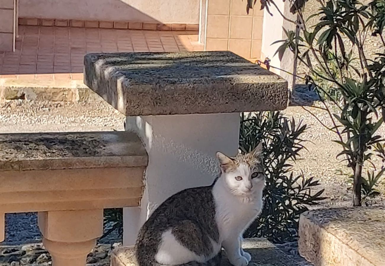 Farm stay in Santa Margalida - Agroturismo Son Flo Buguemvillea