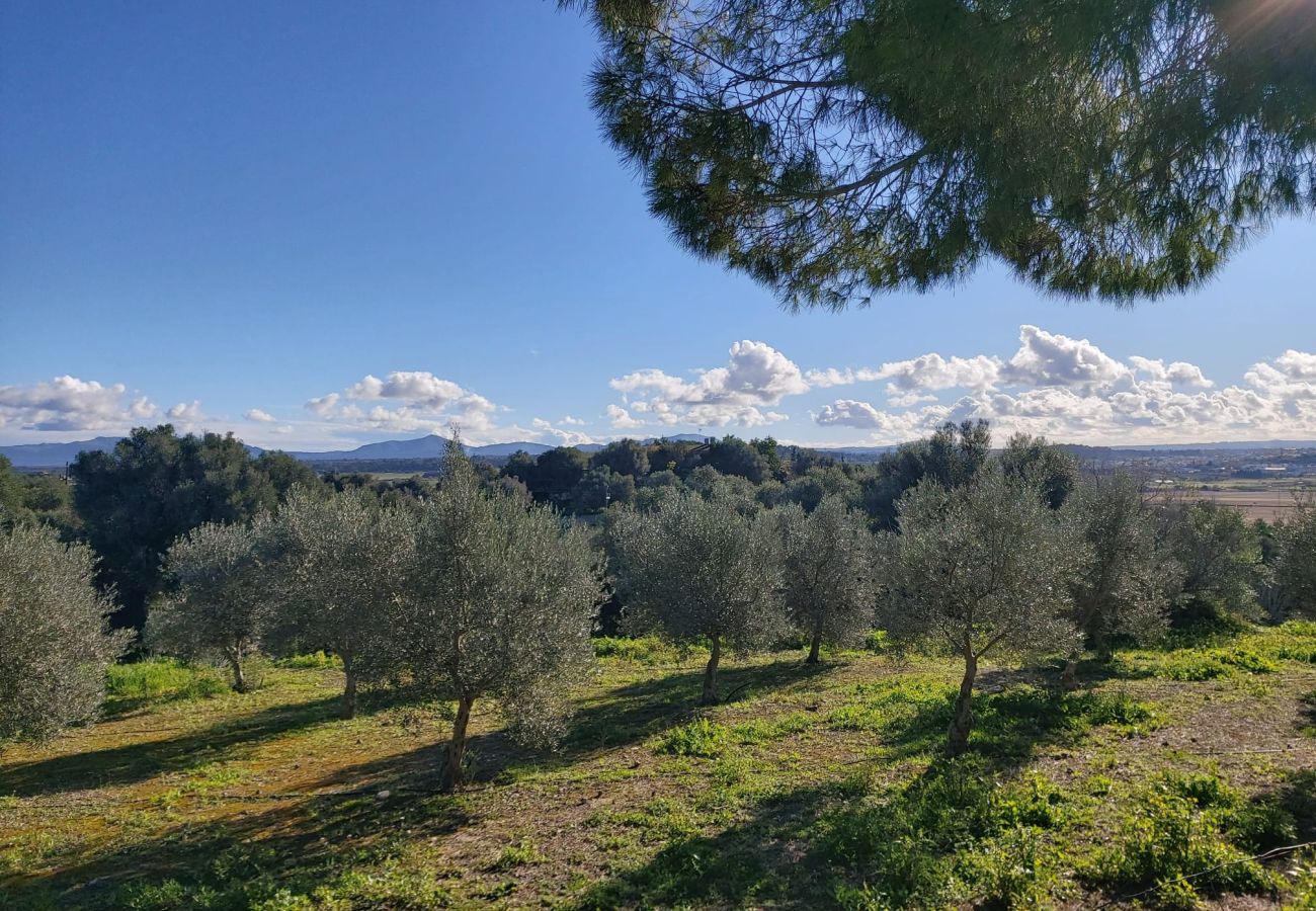 Farm stay in Santa Margalida - Agroturismo Son Flo Buguemvillea