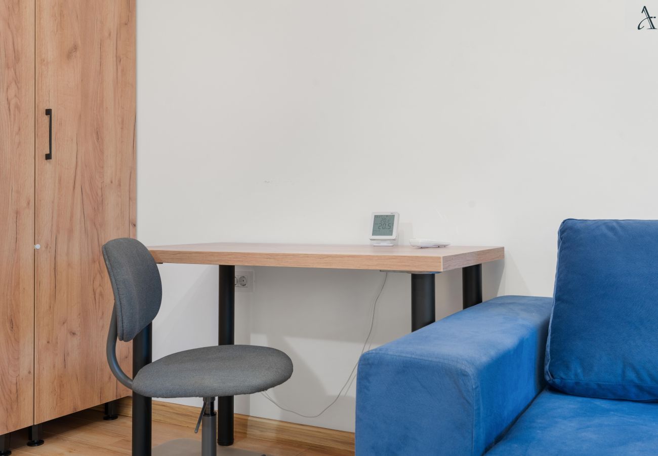 Studio in Bucharest -  Residence Iacobescu Studio