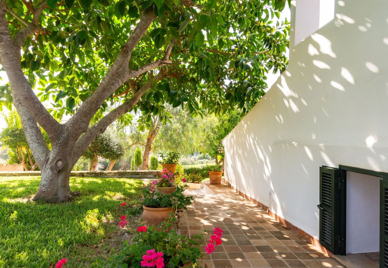Farm stay in Santa Margalida - Agroturismo Begonia by YourHouse