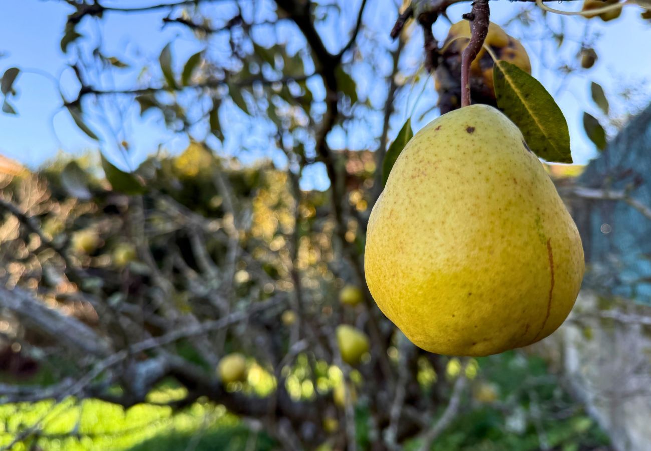 House in Sobrado do Bispo - YourHouse Casa Antonio