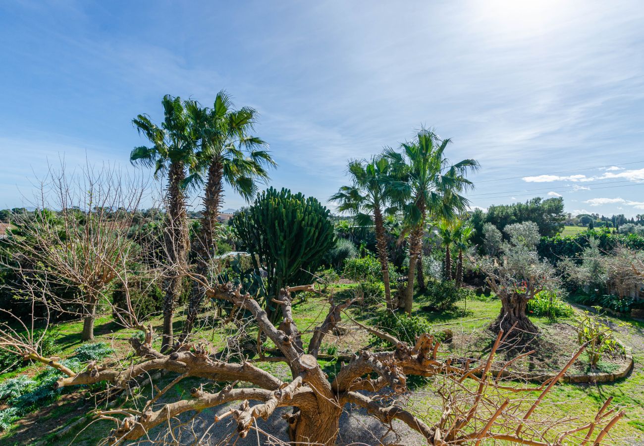 Apartment in Muro - YourHouse Can Prom