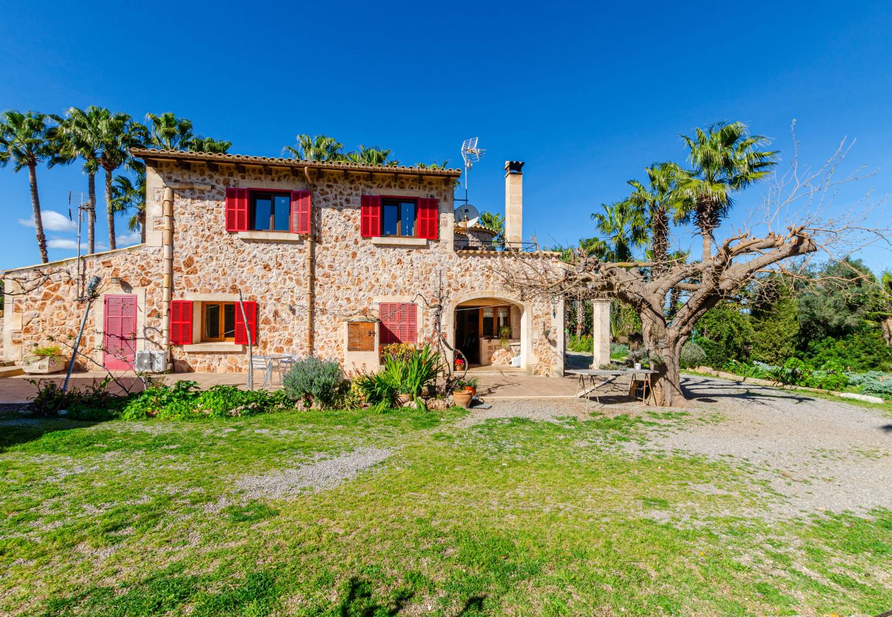 Apartment in Muro - YourHouse Can Prom