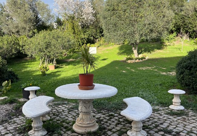 House in Loulé - Casa no Limoeiro