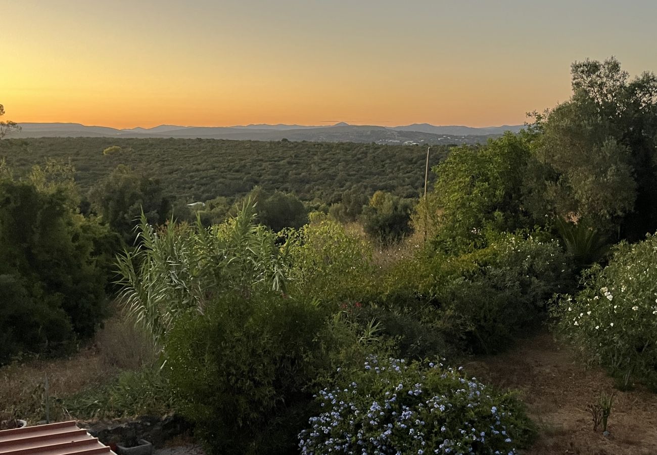 House in Loulé - Casa no Limoeiro