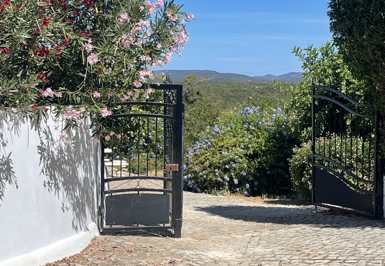 House in Loulé - Casa no Limoeiro