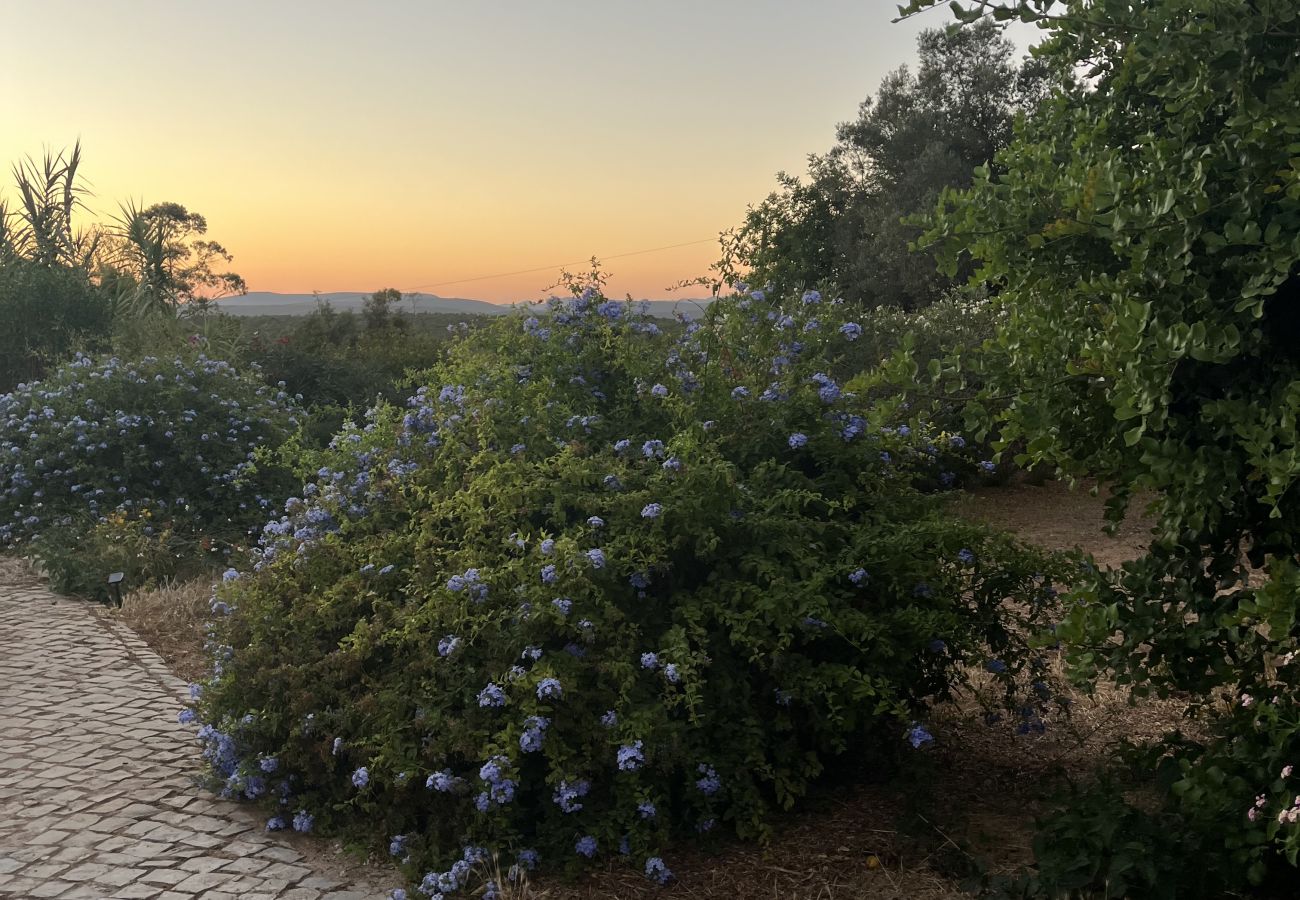 House in Loulé - Casa no Limoeiro