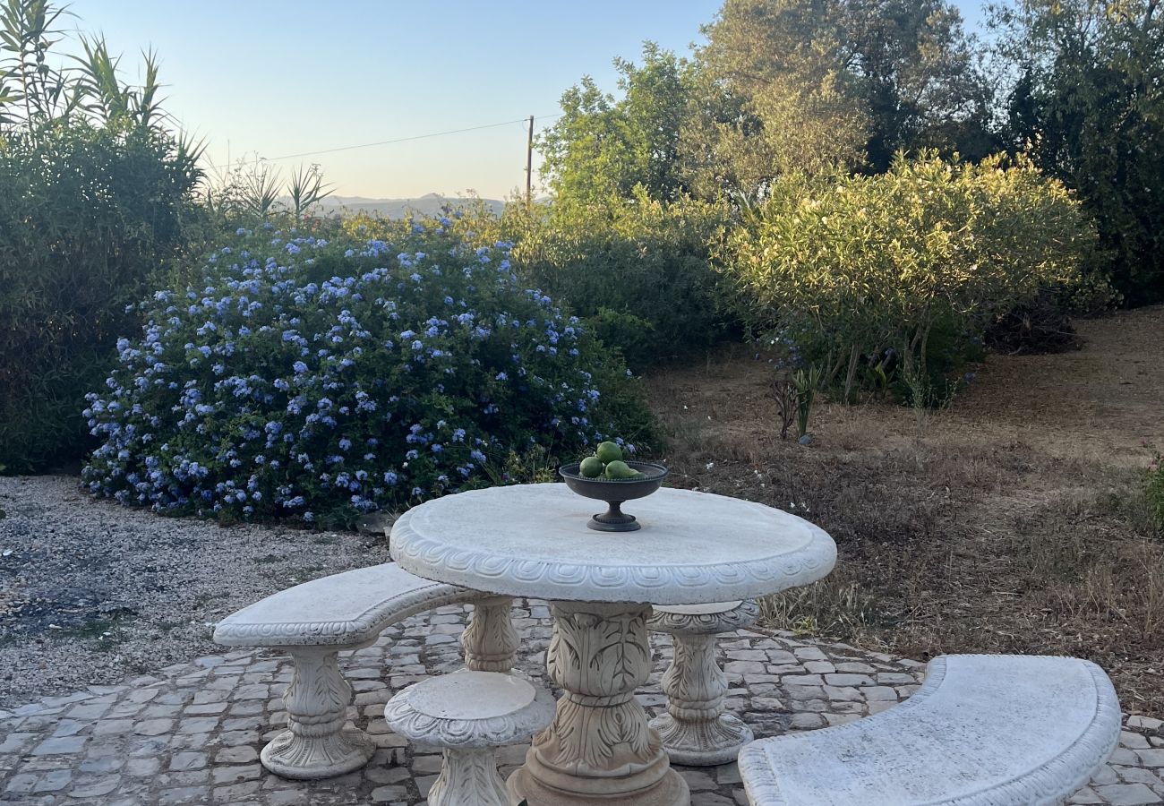 House in Loulé - Casa no Limoeiro