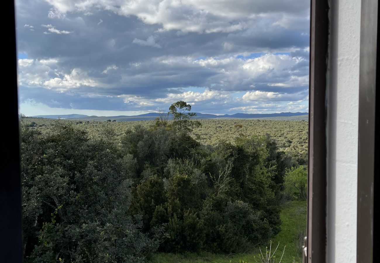House in Loulé - Casa no Limoeiro