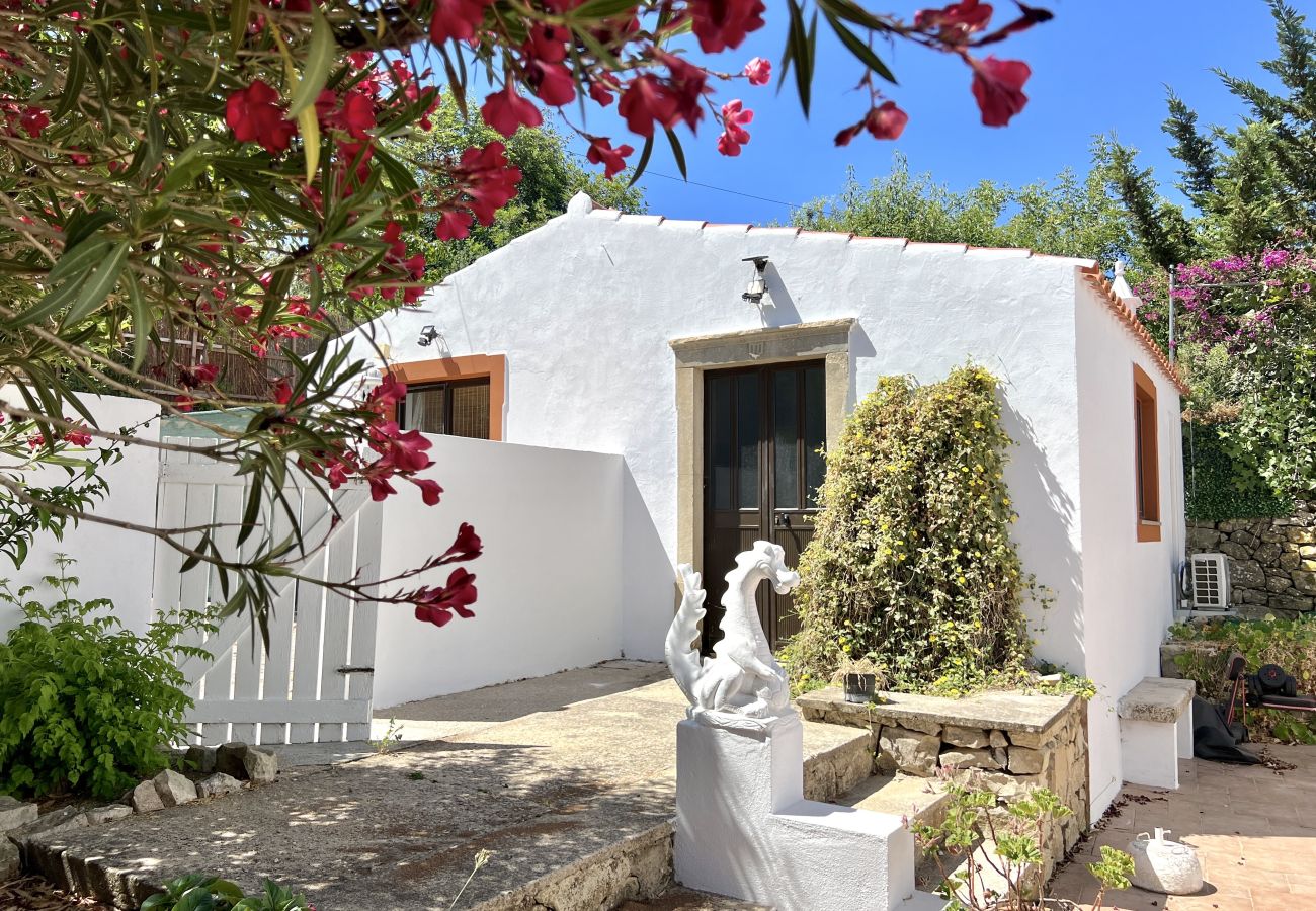 House in Loulé - Casa no Limoeiro