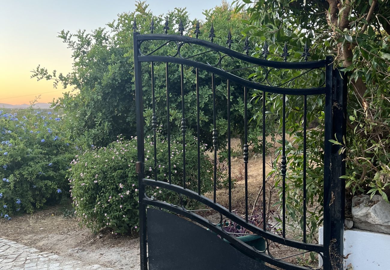 House in Loulé - Casa no Limoeiro