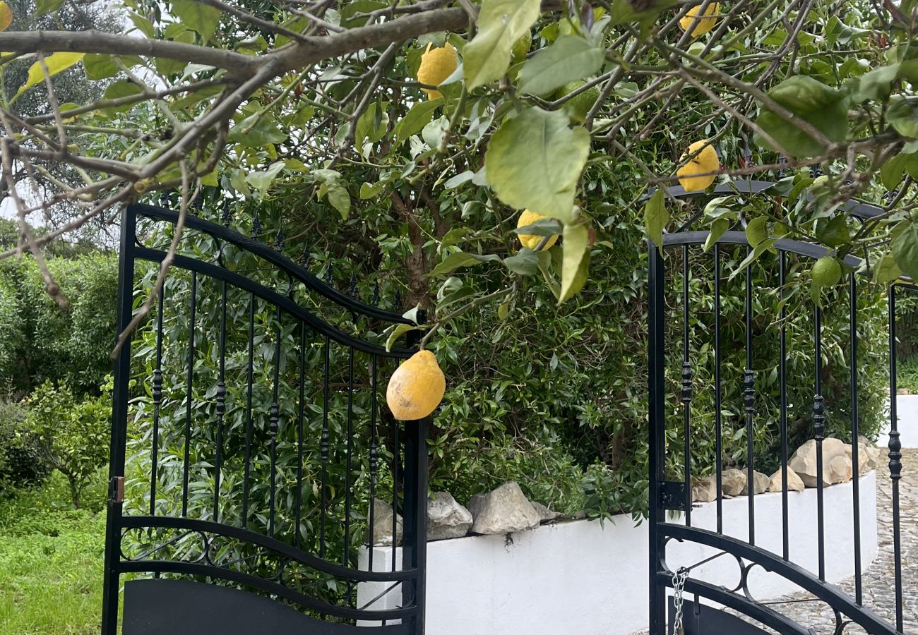House in Loulé - Casa no Limoeiro