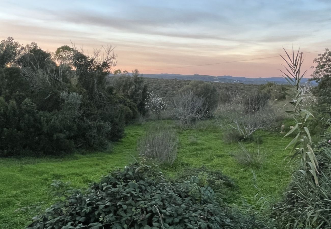 House in Loulé - Casa no Limoeiro