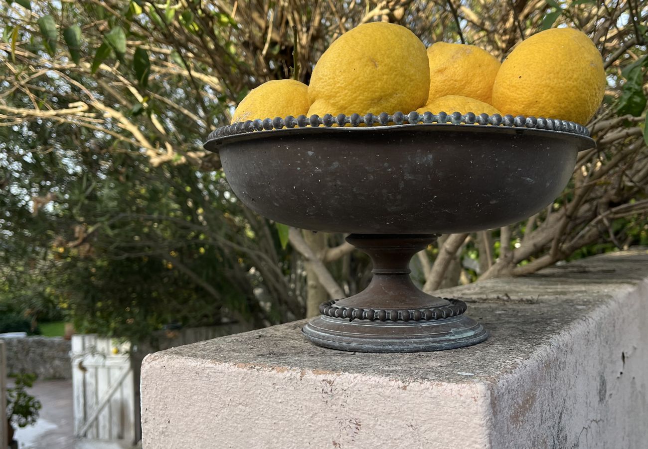 House in Loulé - Casa no Limoeiro