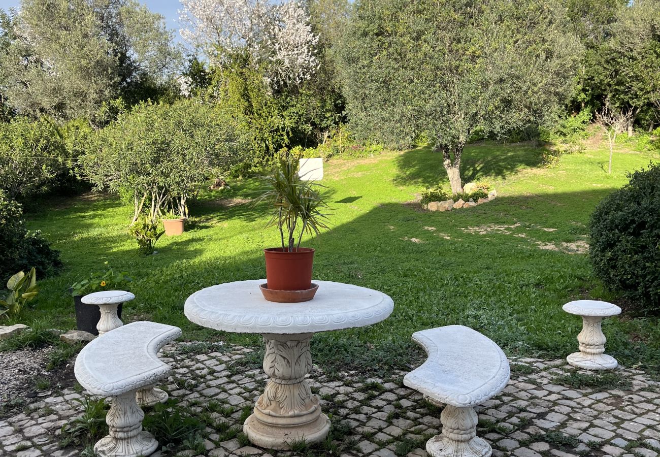 House in Loulé - Casa no Limoeiro