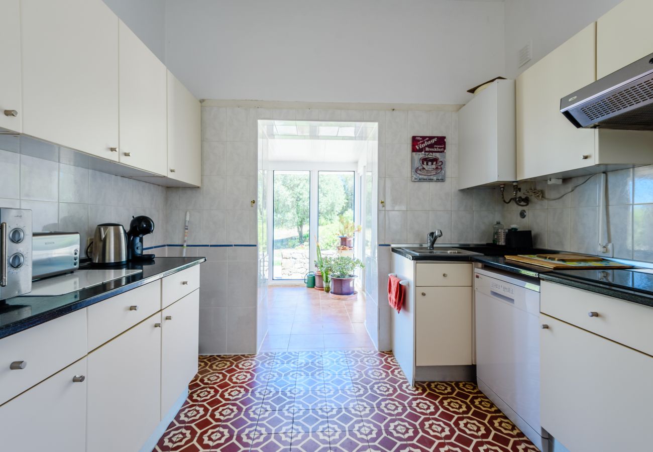 House in Loulé - Casa no Limoeiro