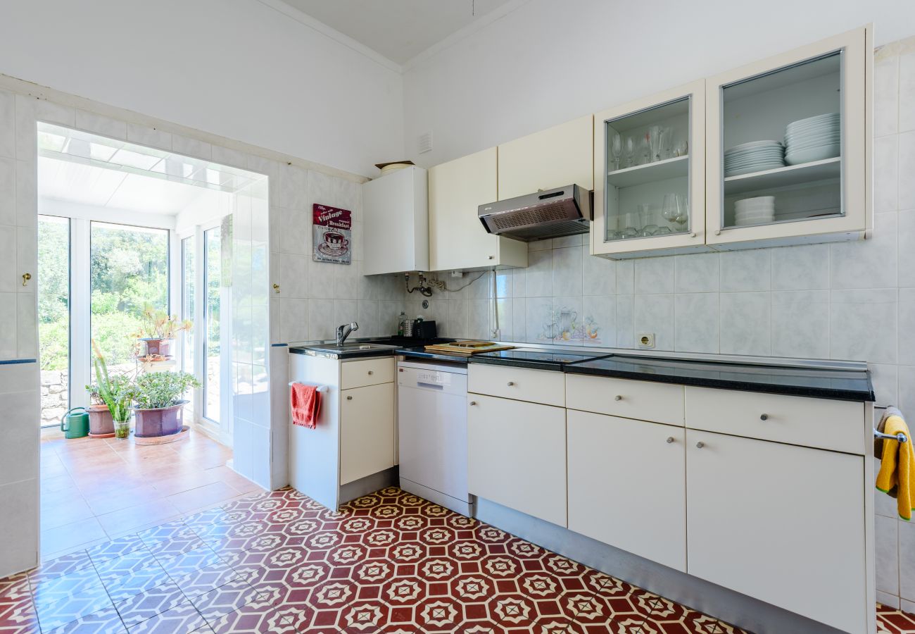 House in Loulé - Casa no Limoeiro
