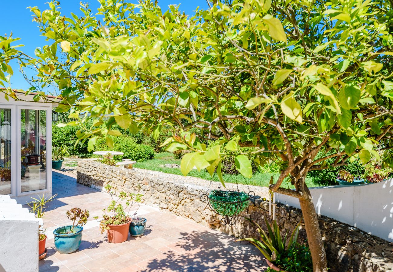 House in Loulé - Casa no Limoeiro