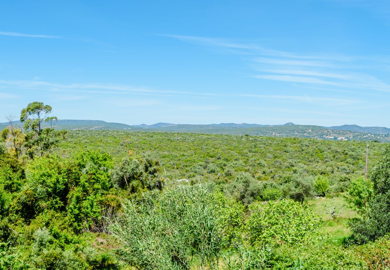 House in Loulé - Casa no Limoeiro