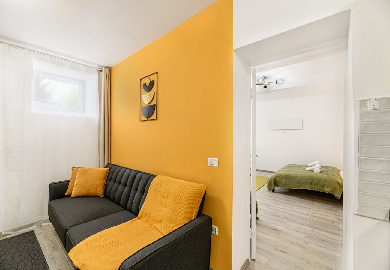 Apartment in Brasov - Quiet Apartment Near Brasov Old Town – Agriselor Street